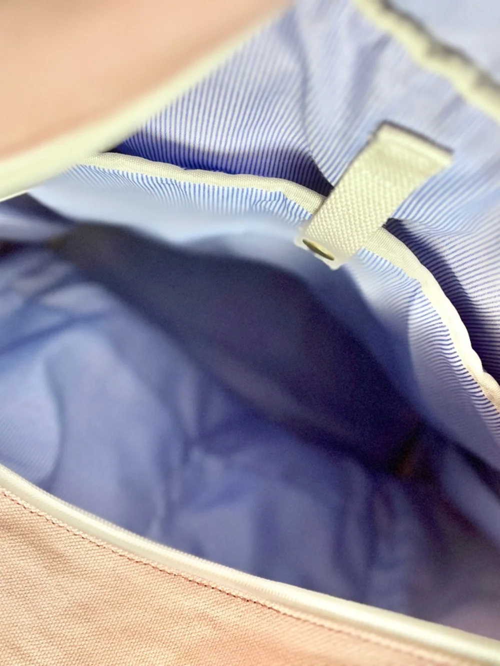 Birdling Bags- pink backpacker in vet hood used condition